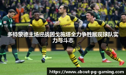 多特蒙德主场迎战因戈施塔全力争胜展现球队实力与斗志